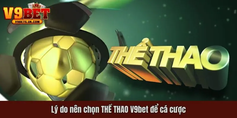 Lý do nên chọn thể thao tại V9bet để cá cược